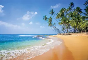 AOFOTO 9x6ft Tropical Seaside Backdrop Sea Beach Blue Sky Green Palm Trees Forest Background Summer Holiday Travel Kids Vacation Trip Photography Bridal Shower Wedding Photo Portrait Prop Vinyl