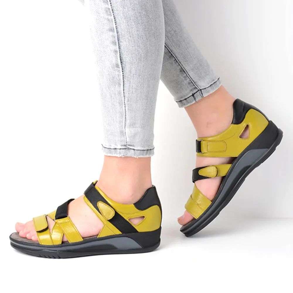 Desh Sandal