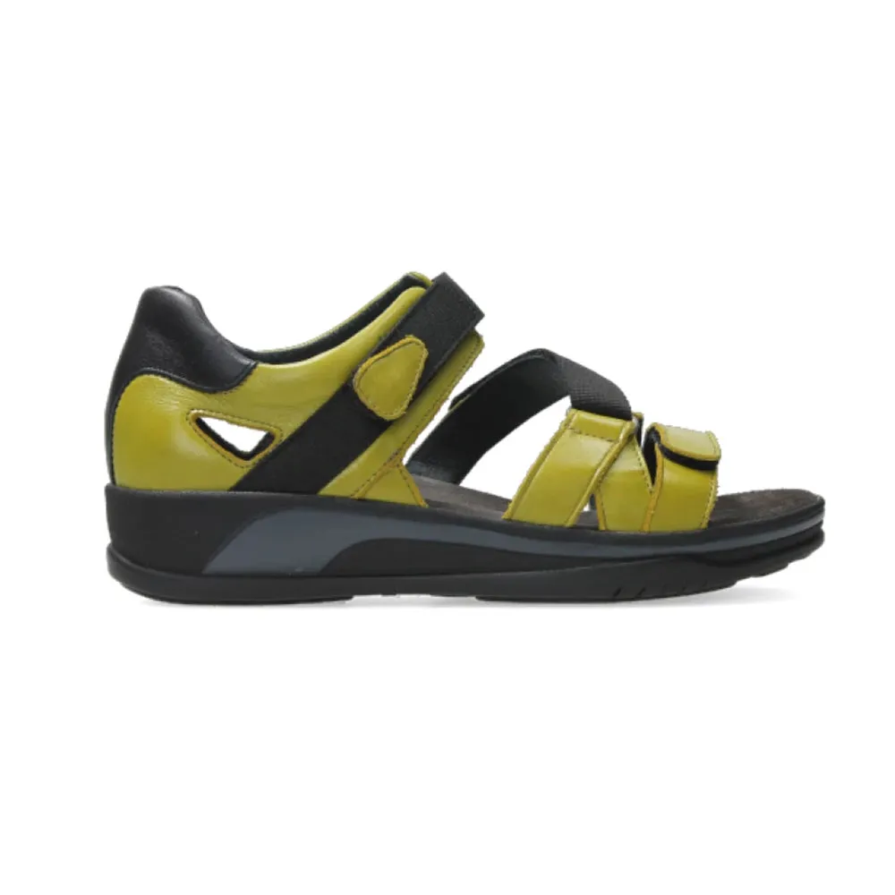 Desh Sandal