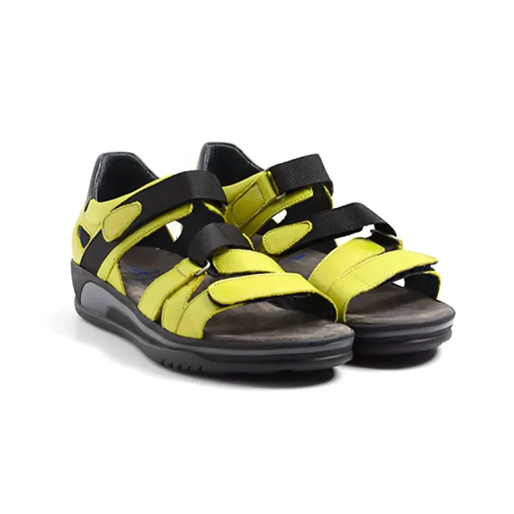 Desh Sandal