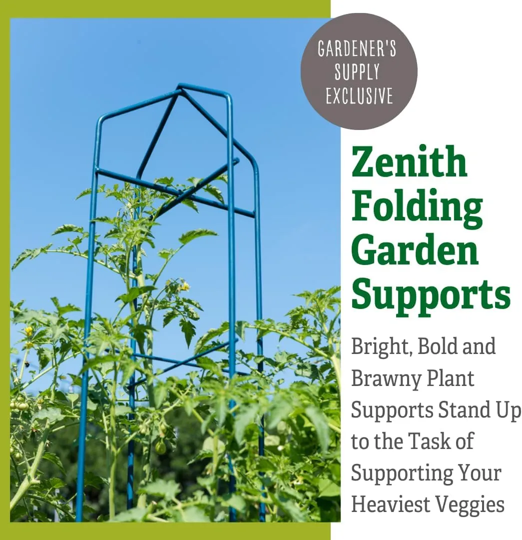 Gardener's Supply Company Zenith Folding Garden Supports, Set of 2 | Sturdy Plant Support for Growing Vegetables | Stands 38" High Installed - Blue