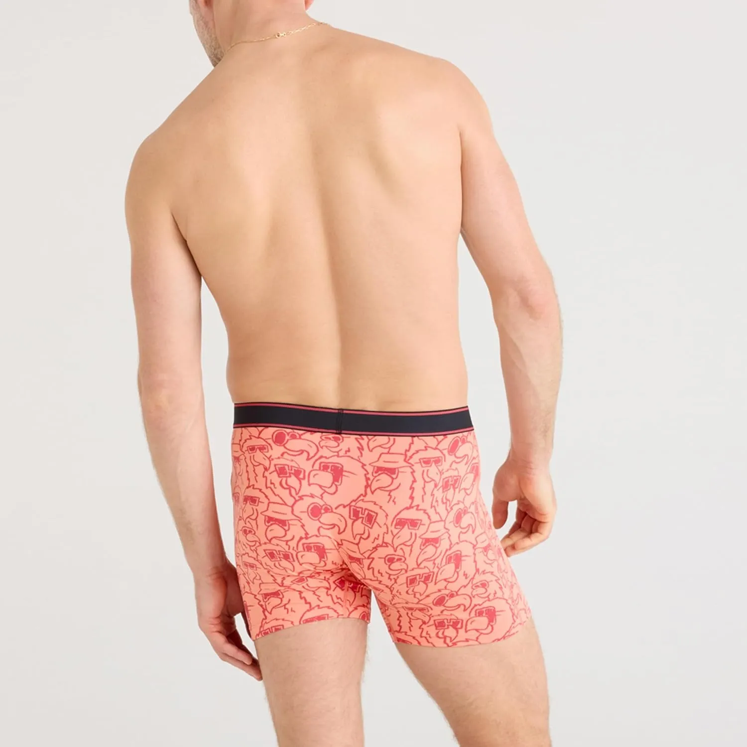 SAXX Underwear Co. Men's Underwear with Pouch Daytripper Boxer Brief Fly
